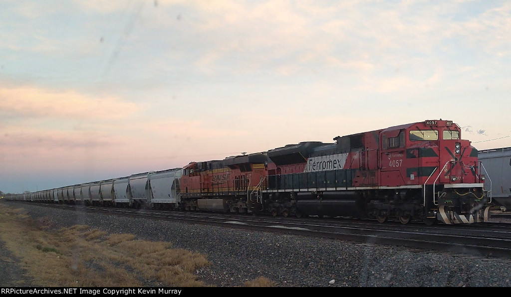 Long Hopper at sunset